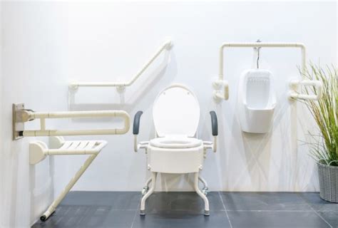 5 Best Handicap Toilets of 2024: Comfortable Toilets for Persons .